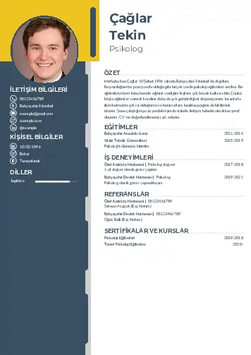 Psikolog CV Örnekleri cv indir